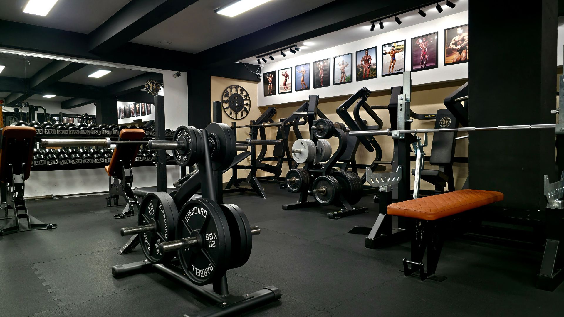 Strefa wolnych ciężarów – Skarabeusz